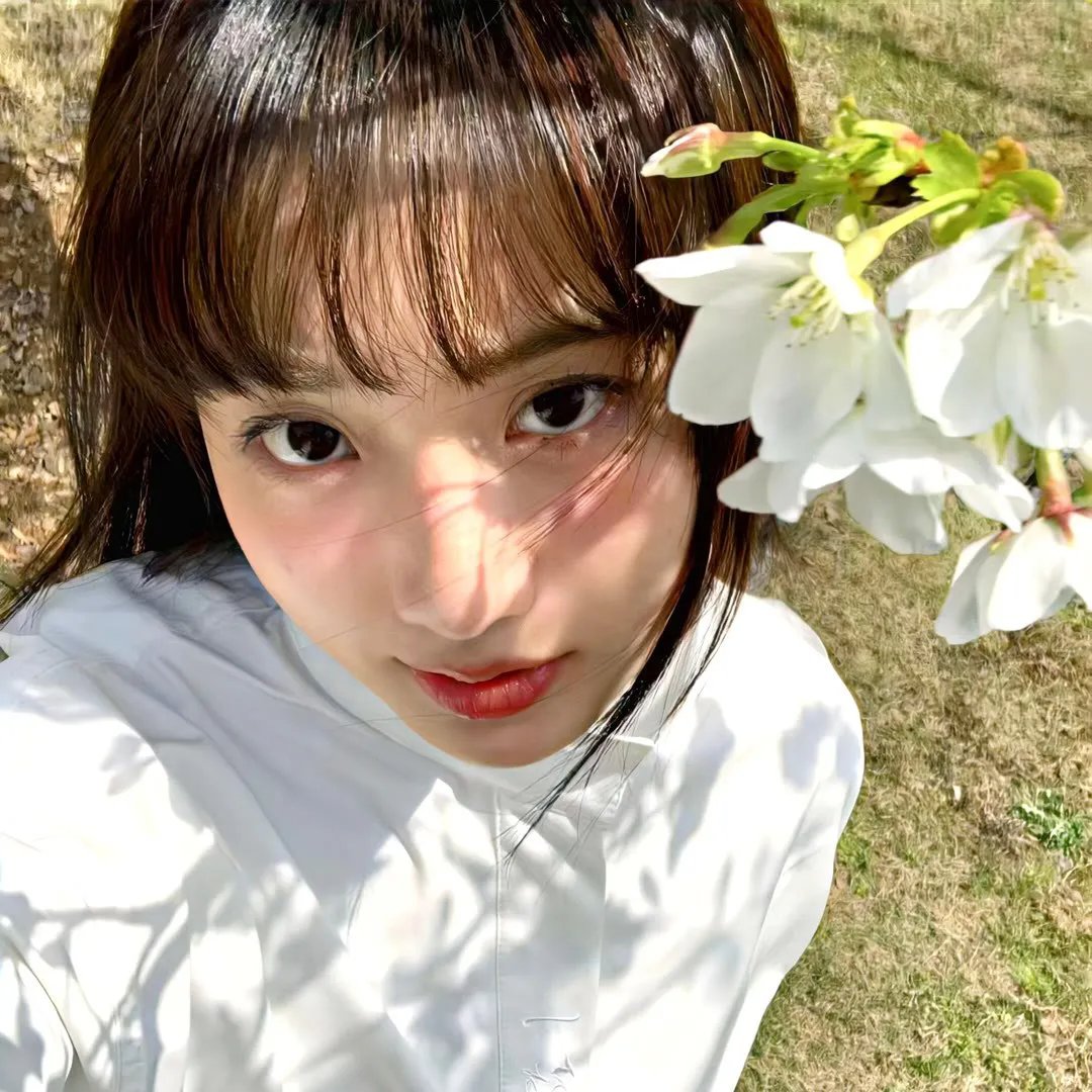 小胆大英雄 在线观看